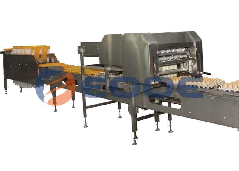 Automatic Egg Packing Machine EOPAC-2