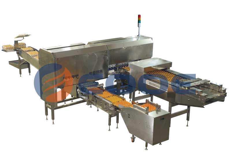 Automatic Egg Packing Machine EOPAC-1